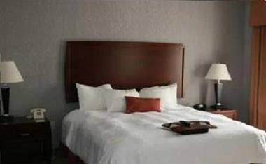 Hampton Inn and Suites Indianapolis/Brownsburg