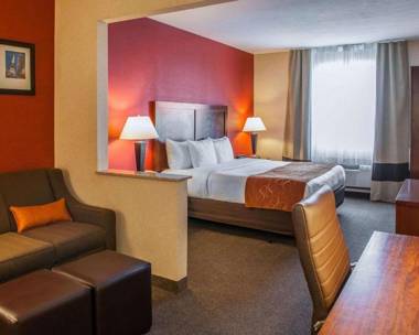 Comfort Suites NE Indianapolis Fishers