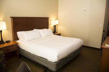 Holiday Inn Express & Suites - Mason City an IHG Hotel