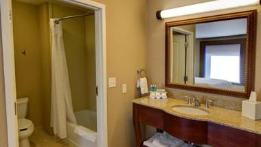 Holiday Inn Express & Suites Sioux City-South an IHG Hotel