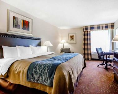 Comfort Inn & Suites La Grange