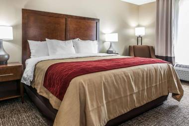 Comfort Inn & Suites Mount Sterling