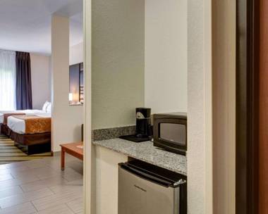 Comfort Suites Denham Springs