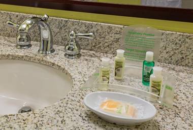 Holiday Inn Hotel French Quarter-Chateau Lemoyne an IHG Hotel