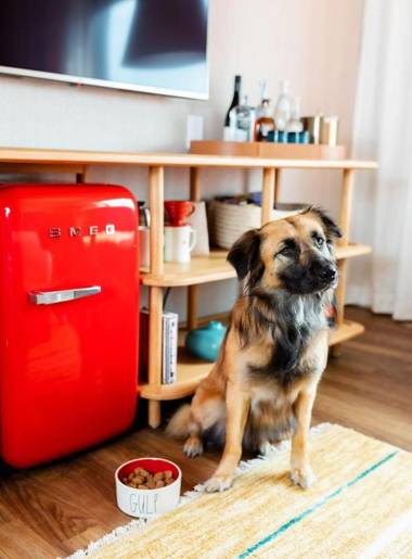 Virgin Hotels New Orleans