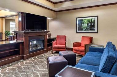 Comfort Suites Shreveport West I-20