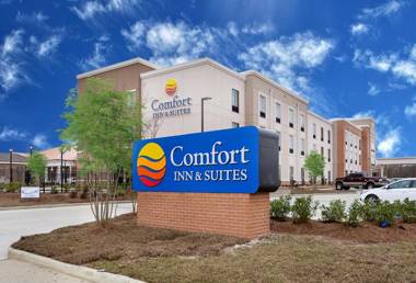 Comfort Inn & Suites Zachary