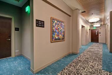 The Docent's Collection