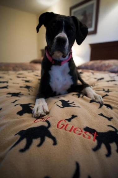 Rangeley Saddleback Inn