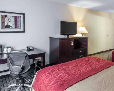 Comfort Inn & Suites BWI Airport