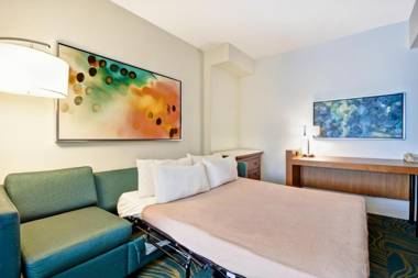 SpringHill Suites by Marriott Baltimore BWI Airport