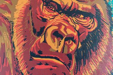 Studio Allston Hotel Boston