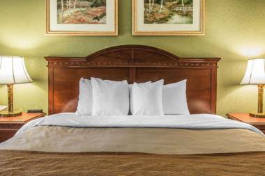 Quality Inn & Suites Ann Arbor Hwy 23