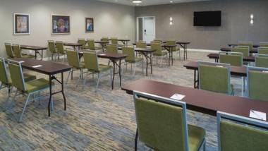 TownePlace Suites by Marriott Detroit Belleville