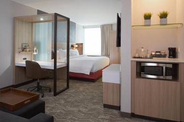 SpringHill Suites by Marriott East Lansing University Area Lansing Area