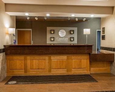 Comfort Inn & Suites Fenton