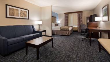 Best Western Plus Flint Airport Inn & Suites