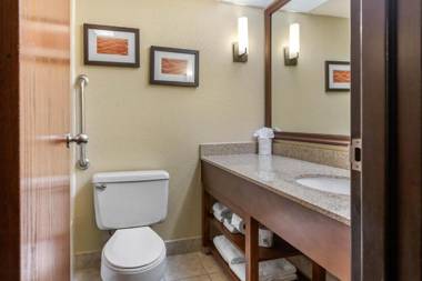 Comfort Inn Airport Grand Rapids