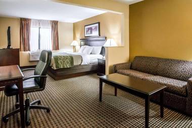 Econo Lodge Inn & Suites Monroe