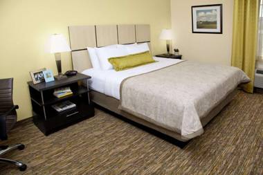 Sonesta Simply Suites Detroit Warren