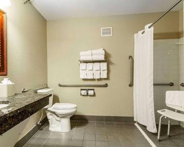 Comfort Inn Owatonna near Medical Center