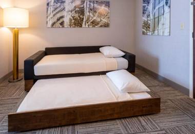 SpringHill Suites Rochester Mayo Clinic Area / Saint Marys