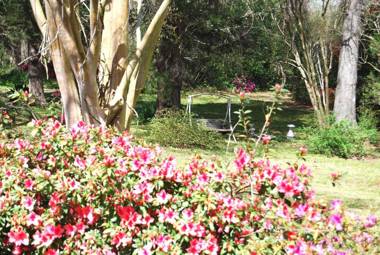 Glenfield Plantation Historic Antebellum Bed and Breakfast