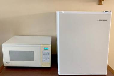 OYO Hotel Branson MO-165