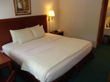 Super 8 by Wyndham Branson - Shepherd of the Hills Exwy