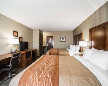 Comfort Inn & Suites St. Louis-Hazelwood