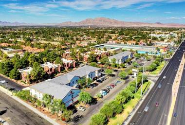 Siegel Select Flamingo