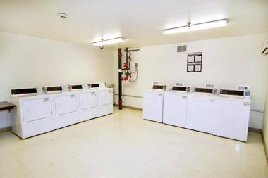 Siegel Select Flamingo