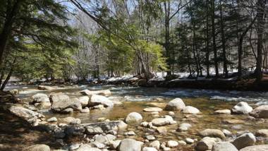 Franconia Notch Motel