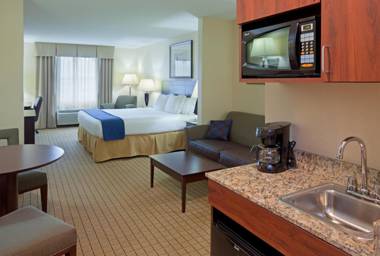 Holiday Inn Express Hotel & Suites Rochester an IHG Hotel