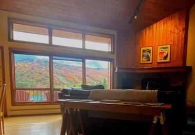 W5 AIR CONDITIONED Mount Washington Place townhouse with fireplace air hockey free and fast wifi