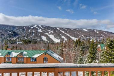 W5 AIR CONDITIONED Mount Washington Place townhouse with fireplace air hockey free and fast wifi