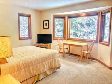 O8 Renovated Forest Cottage Townhome with great Mt Washington views fast wifi Walk to skiing