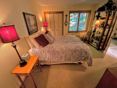W3 Cozy 3BR Mt Washington Place Townhome gorgeous views of Bretton Woods Ski Area WiFi Cable