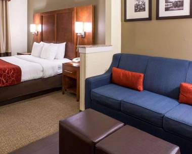 Comfort Suites Newark - Harrison