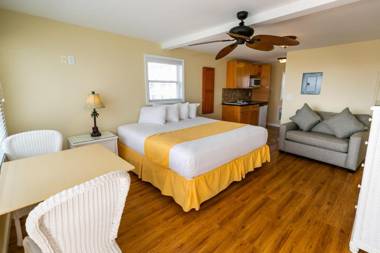 American Safari Motel