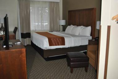 Comfort Inn & Suites Midtown