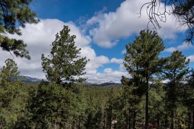 Aurora Montealis 2 Bedrooms Sleeps 4 Mountain Views Fireplace WiFi