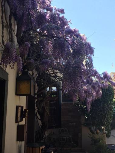 Inn of the Governors