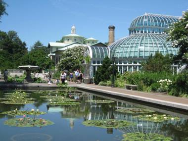 Hotel Bliss - Brooklyn