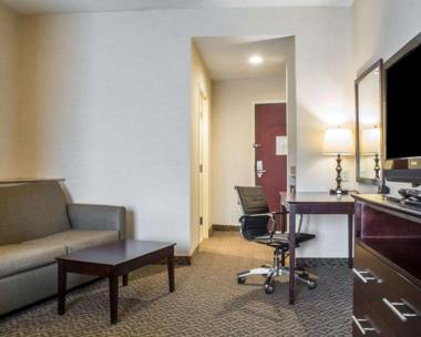 Comfort Suites Cicero - Syracuse North