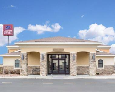 Comfort Suites Cicero - Syracuse North