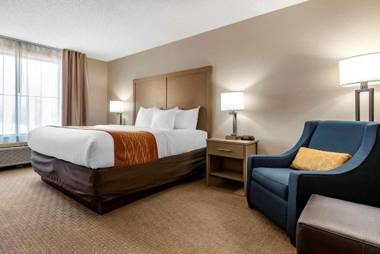 Comfort Inn & Suites Farmington - Victor