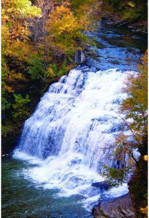 A Cayuga LakeFront Inn - Hotel Alt Ithaca New York