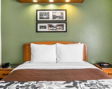 Sleep Inn & Suites Albemarle