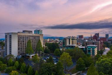 Renaissance Asheville Downtown Hotel